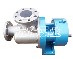 Wkse快(kuài)速清洗雙螺杆(gan)泵